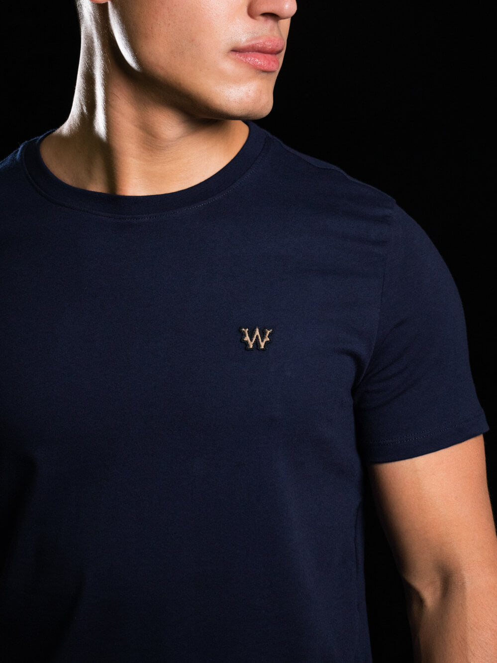 Camiseta Masculina WestWorld Despertar