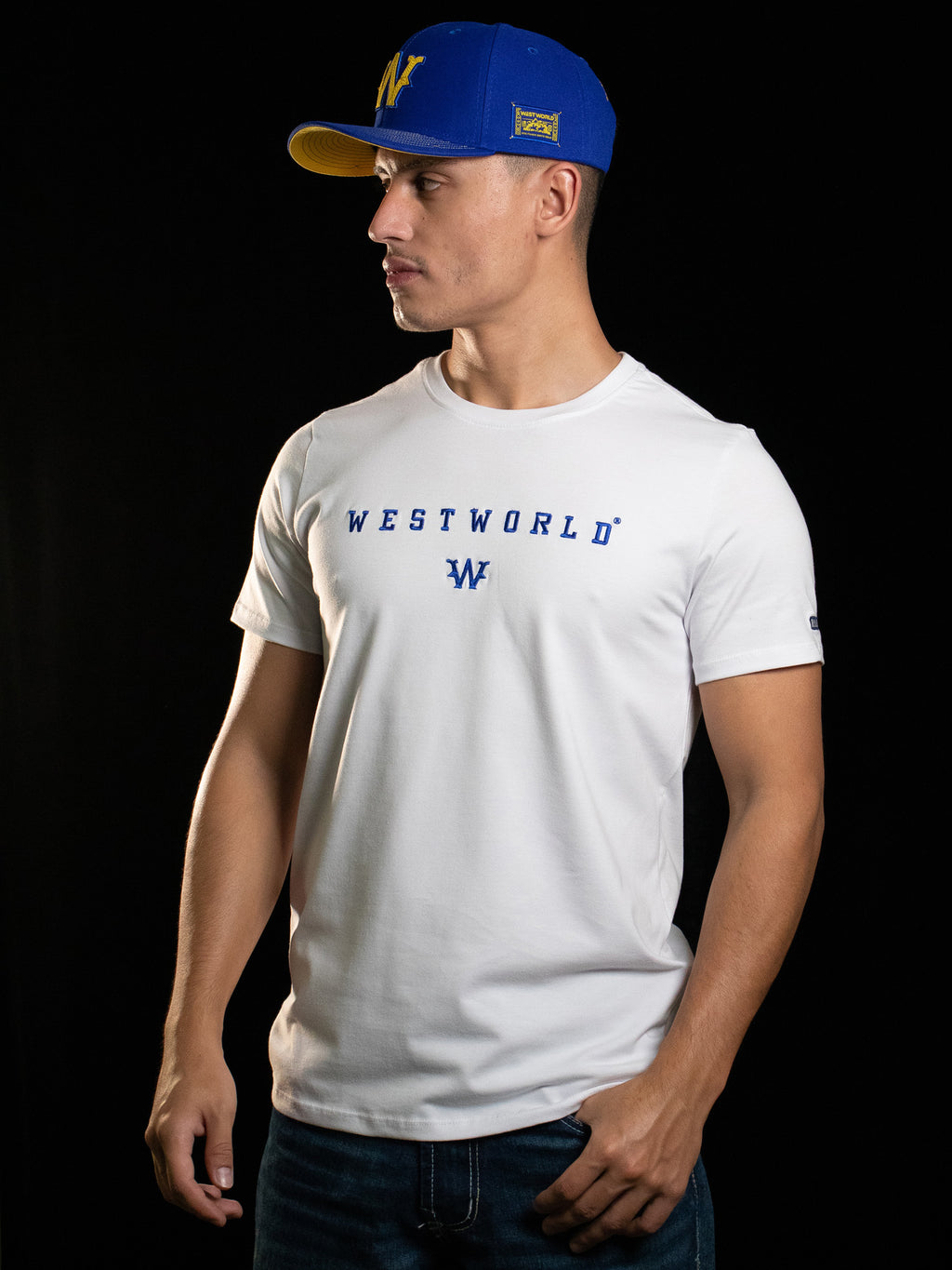 Camiseta Masculina WestWorld Despertar