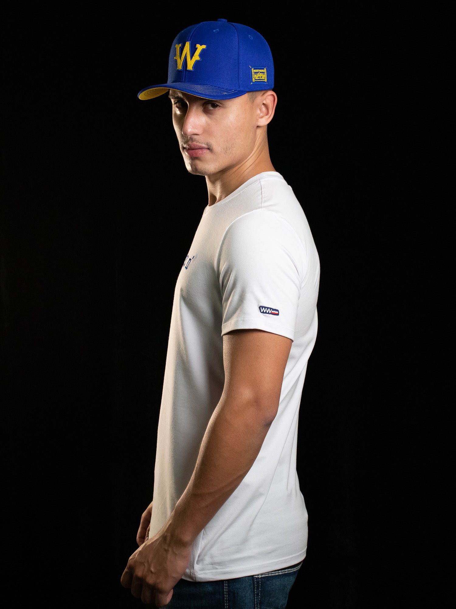 Camiseta Masculina WestWorld Despertar