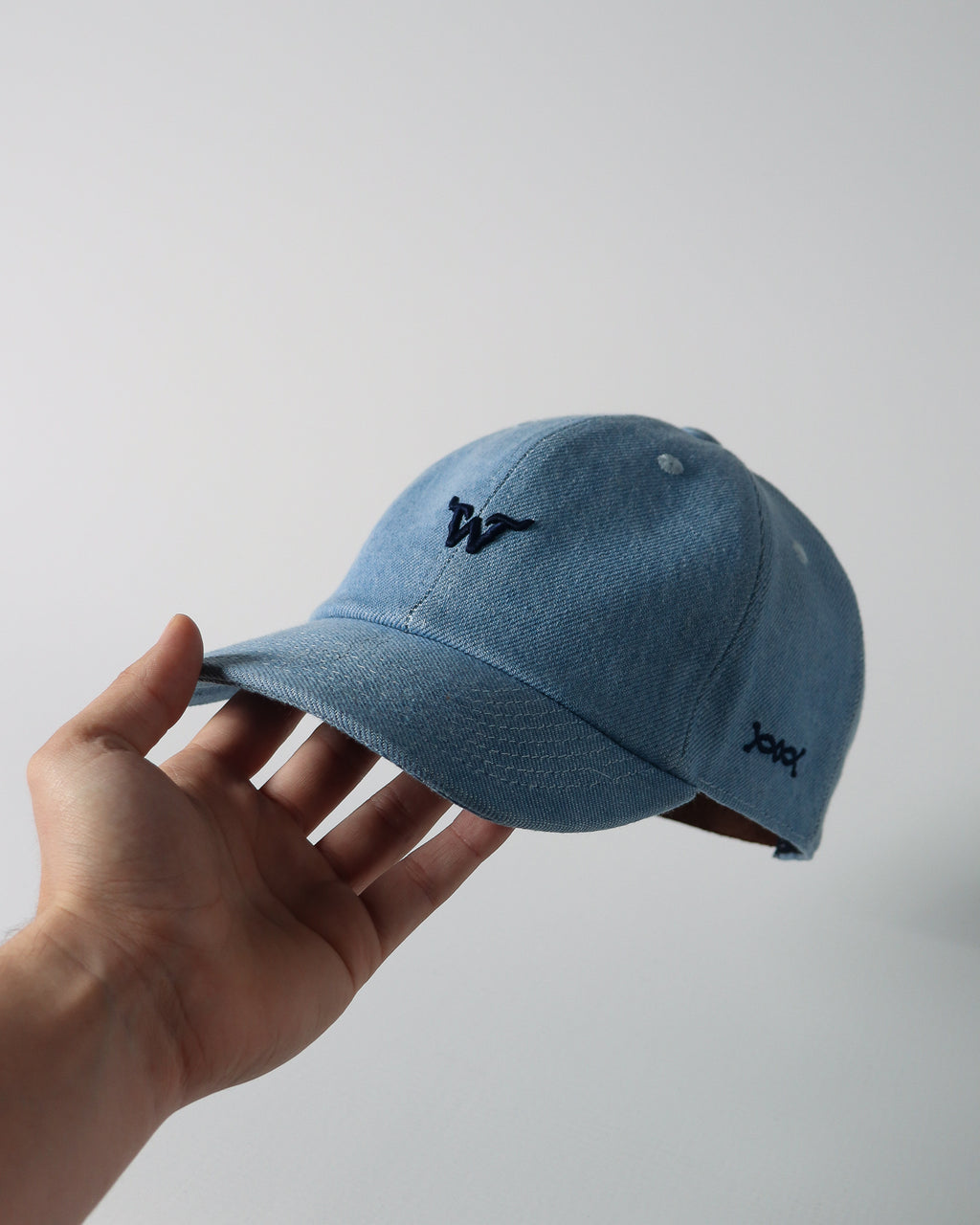 Boné WestWorld Dad Hat Boston