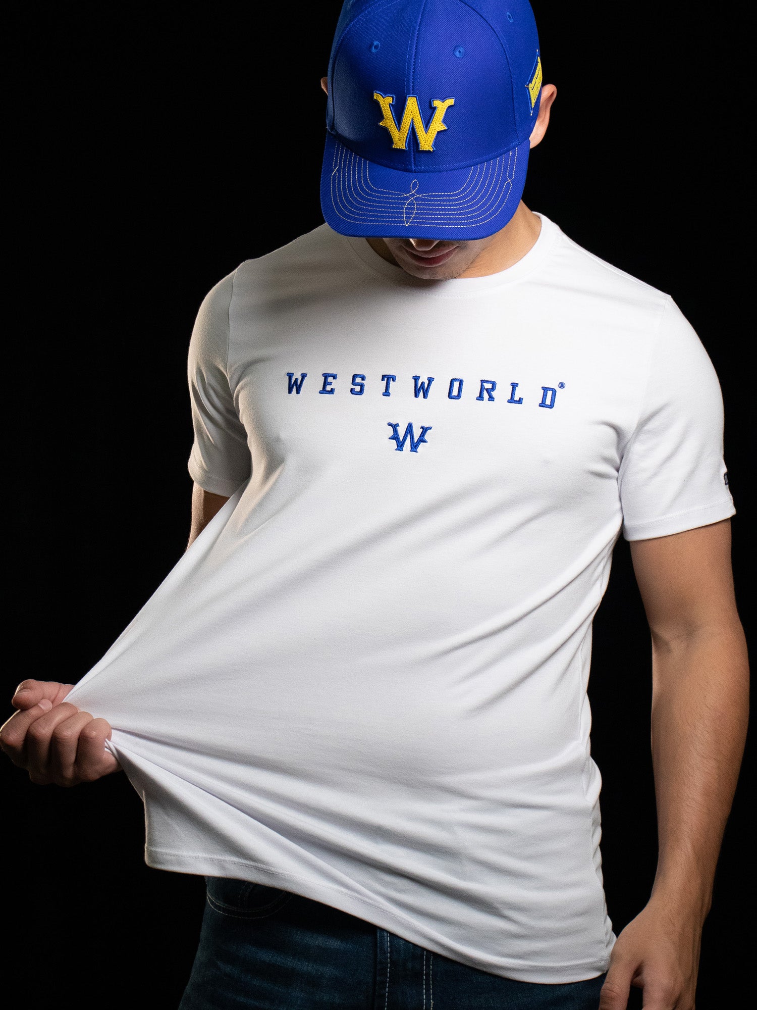 Camiseta Masculina WestWorld Despertar