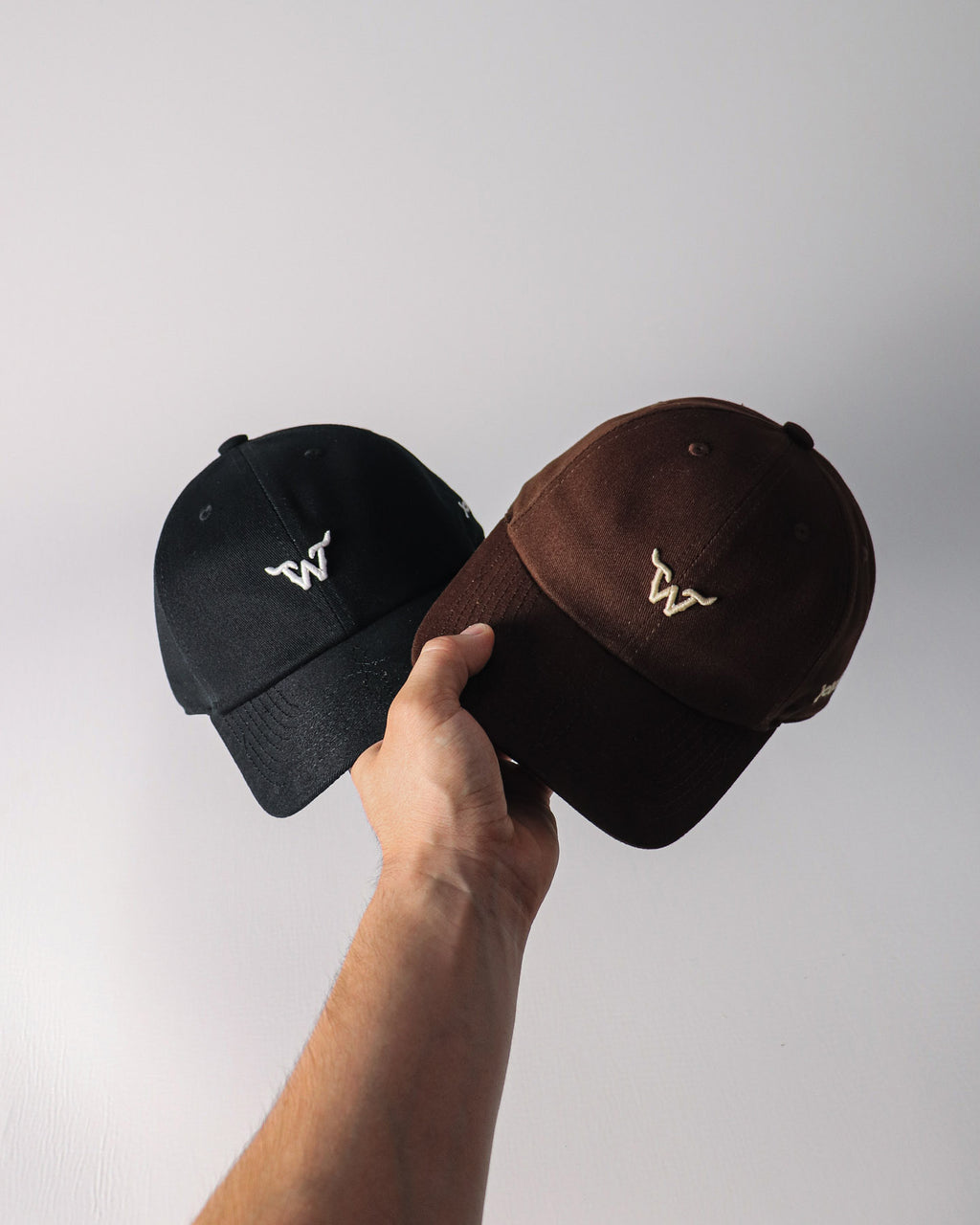 Boné WestWorld Dad Hat Boston