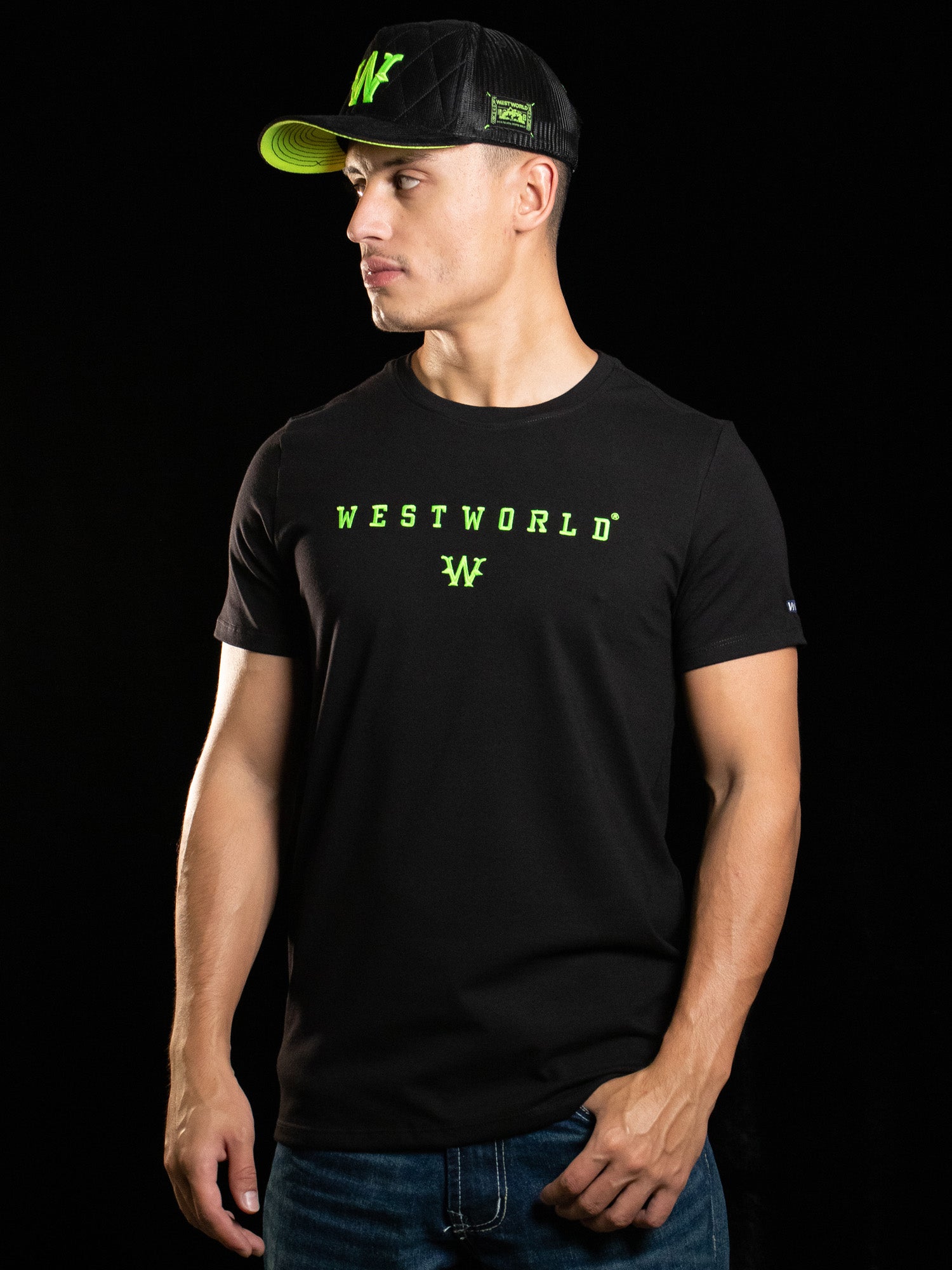 Camiseta Masculina WestWorld Despertar