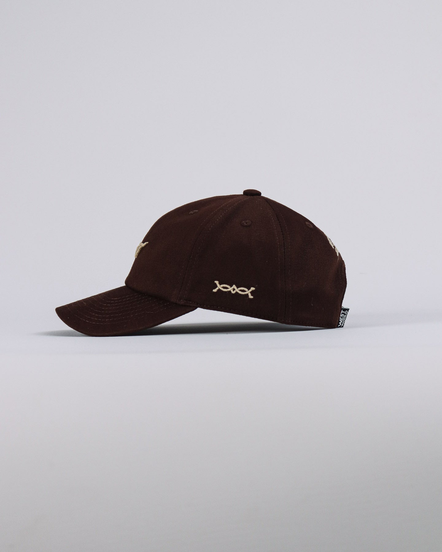 Boné WestWorld Dad Hat Boston