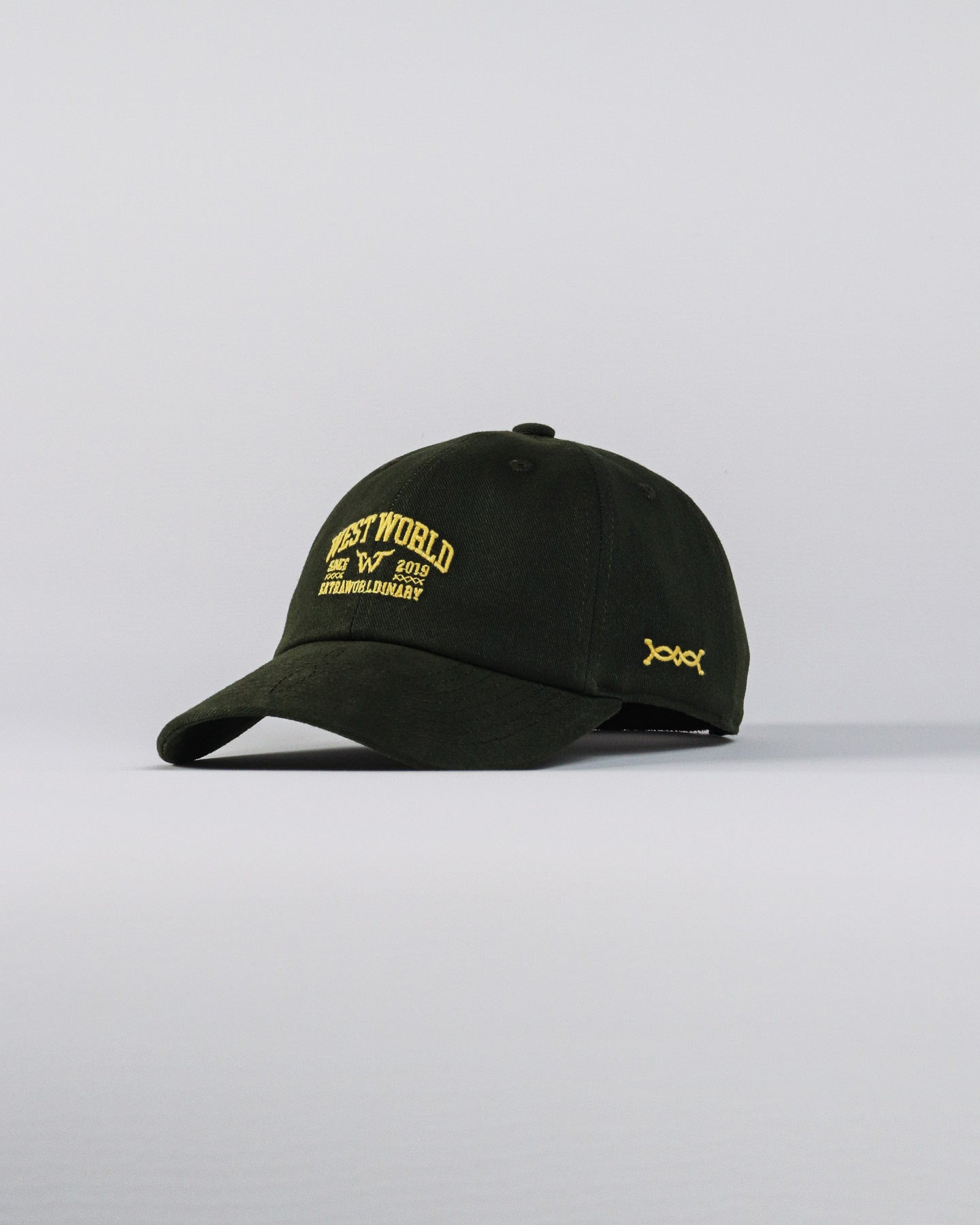 Boné WestWorld Dad Hat Buffalo