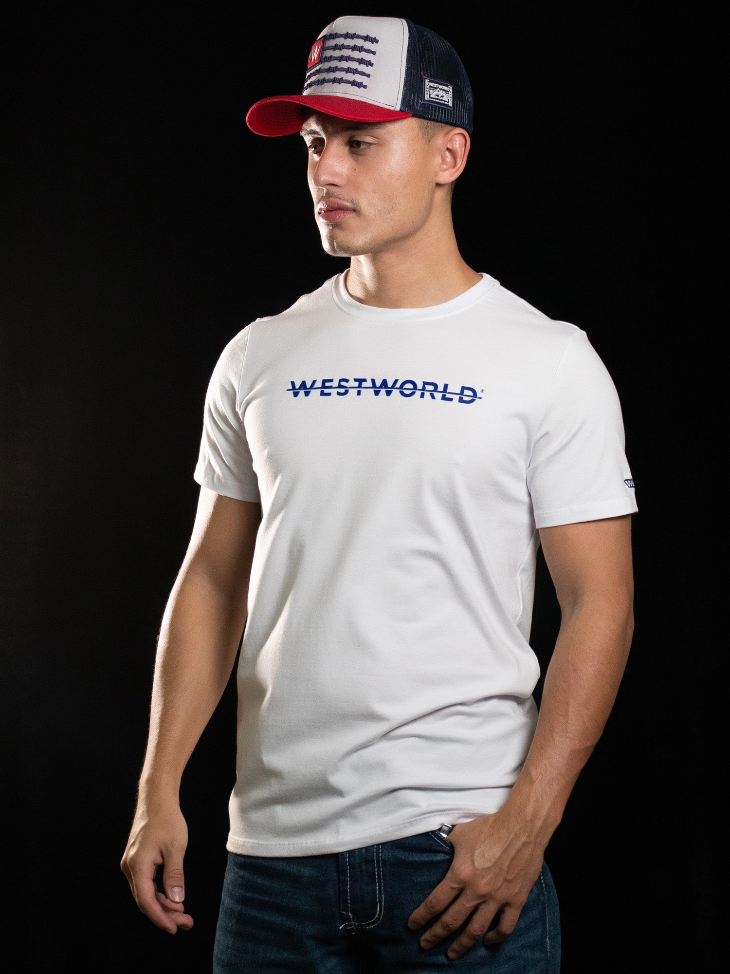 Camiseta Masculina WestWorld Despertar