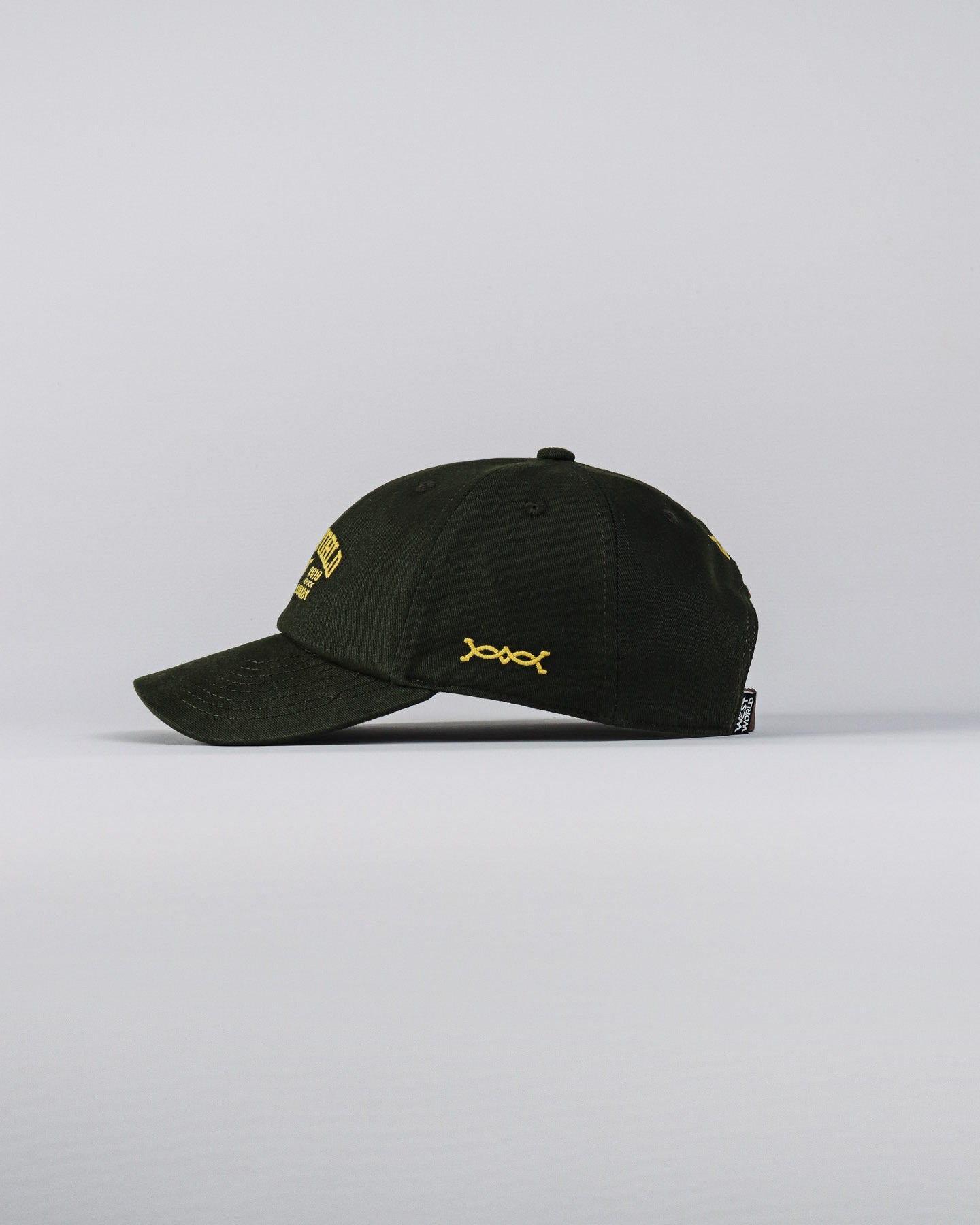 Boné WestWorld Dad Hat Buffalo