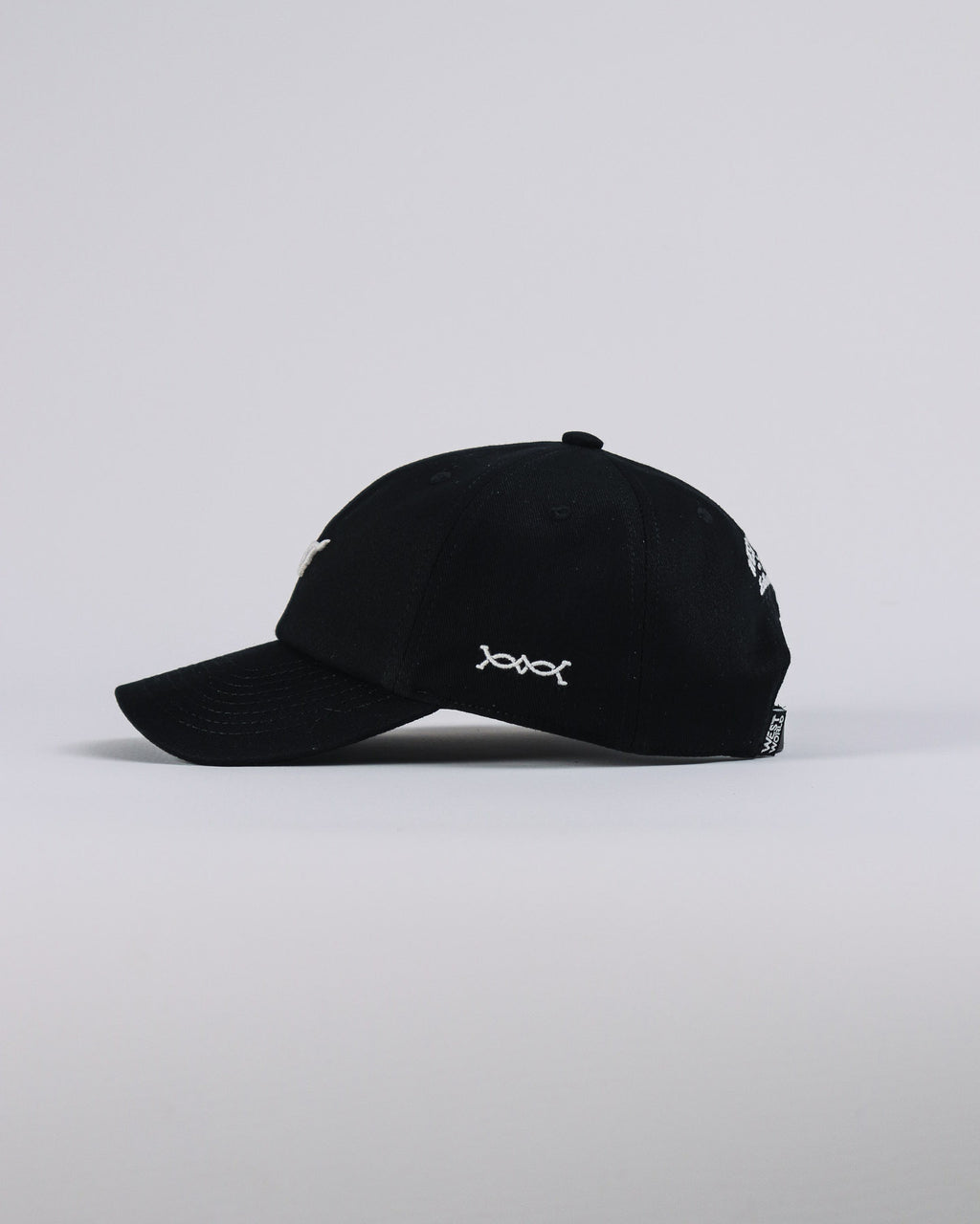 Boné WestWorld Dad Hat Boston