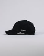 Boné WestWorld Dad Hat Boston