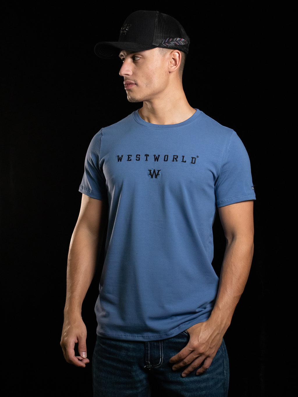 Camiseta Masculina WestWorld Despertar
