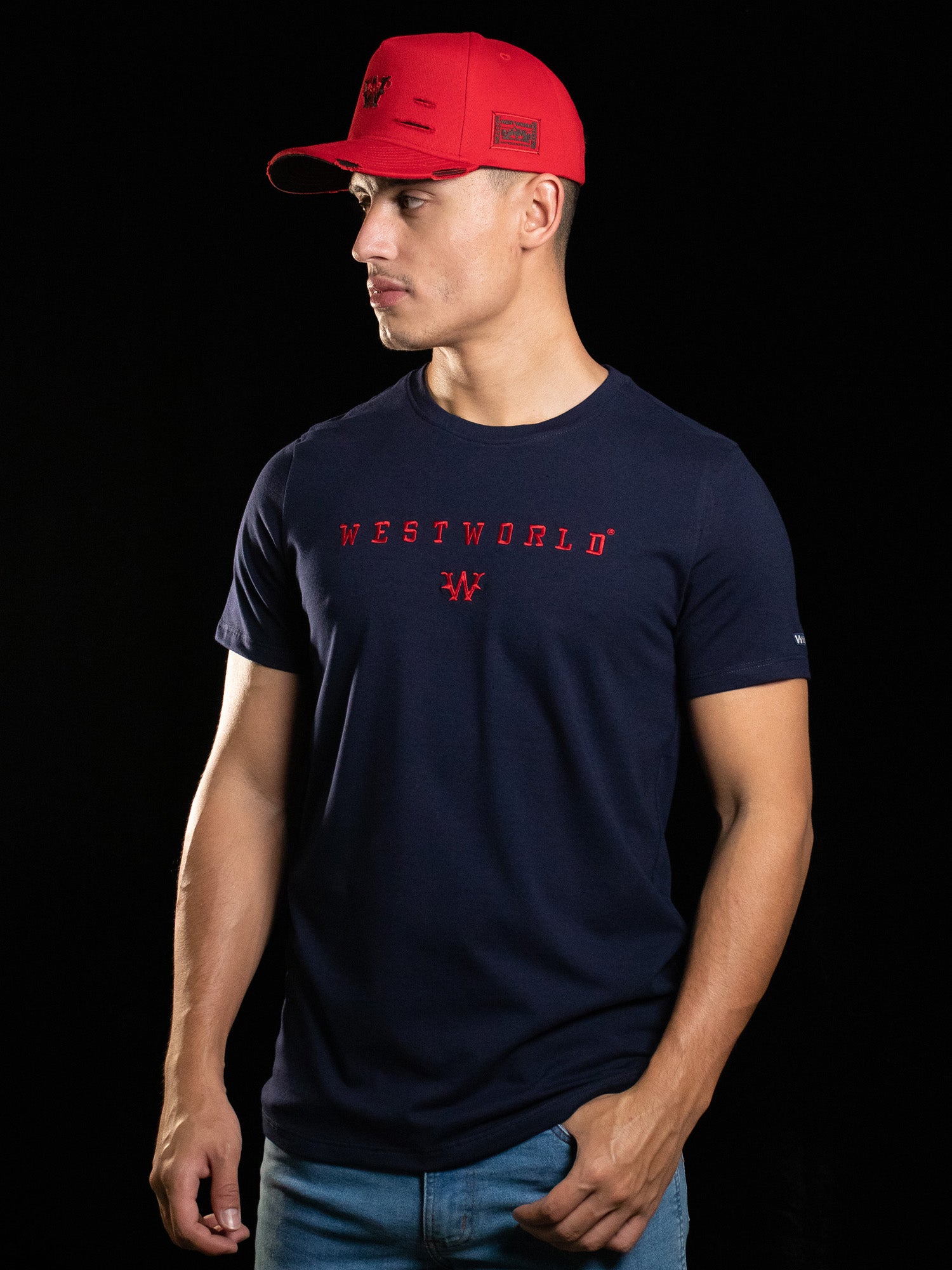 Camiseta Masculina WestWorld Despertar