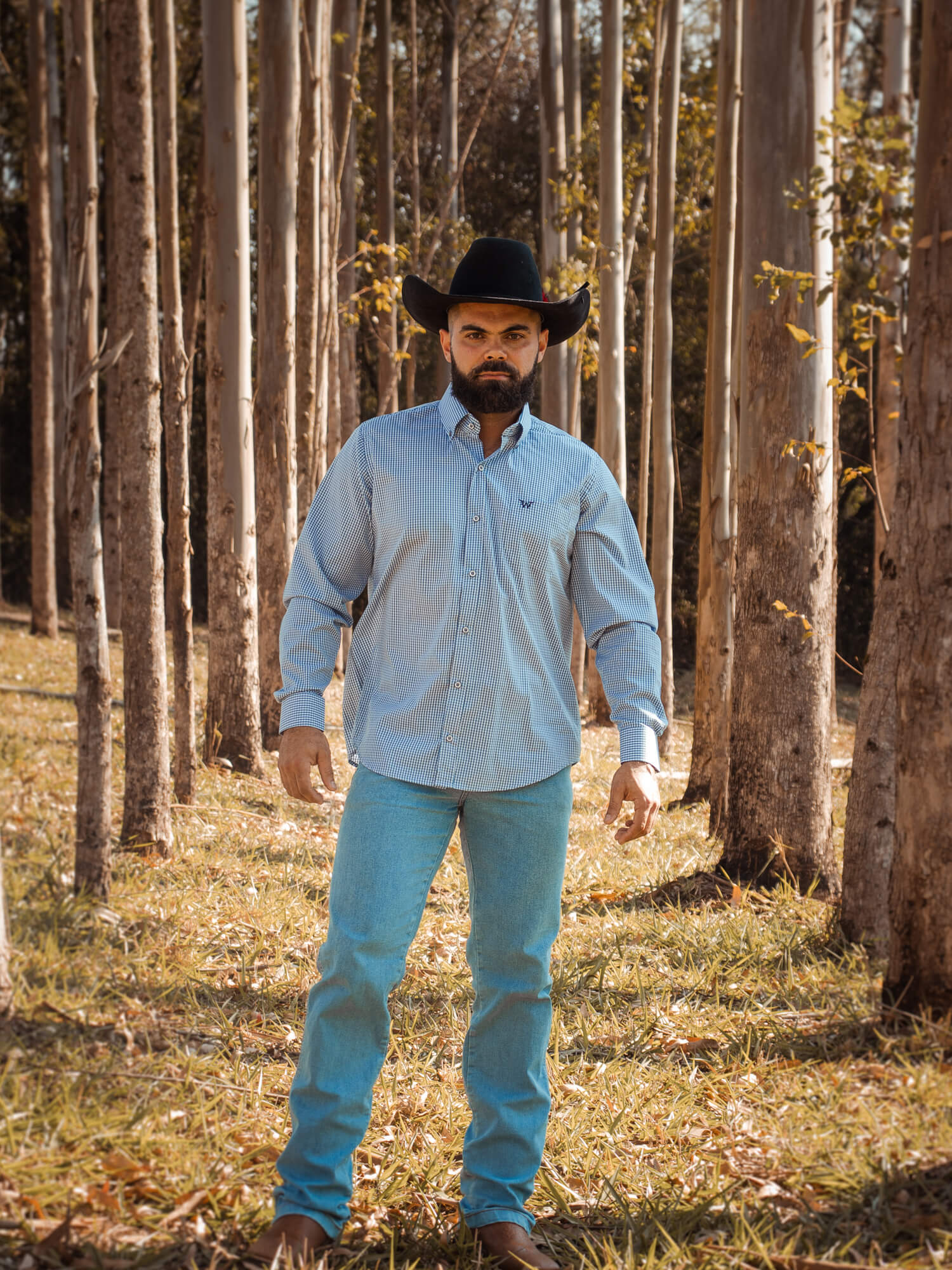 Camisa Masc ML Xadrez Algodão Egípcio WestWorld