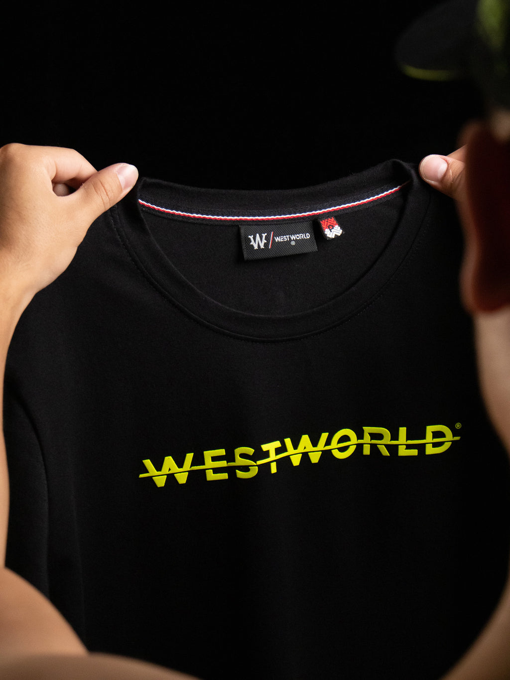 Camiseta Masculina WestWorld Despertar