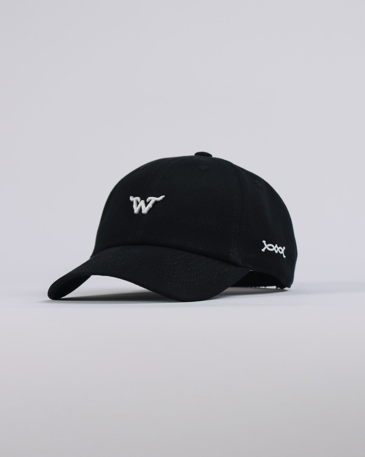 Boné WestWorld Dad Hat Boston